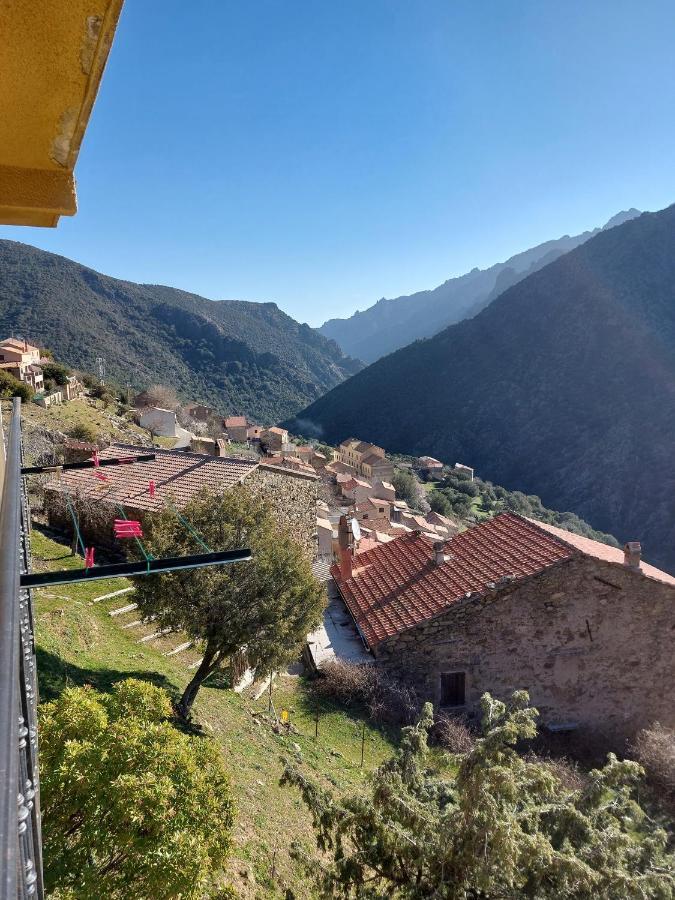 Residence E Cime Asco Locations De Studios Meubles Luaran gambar