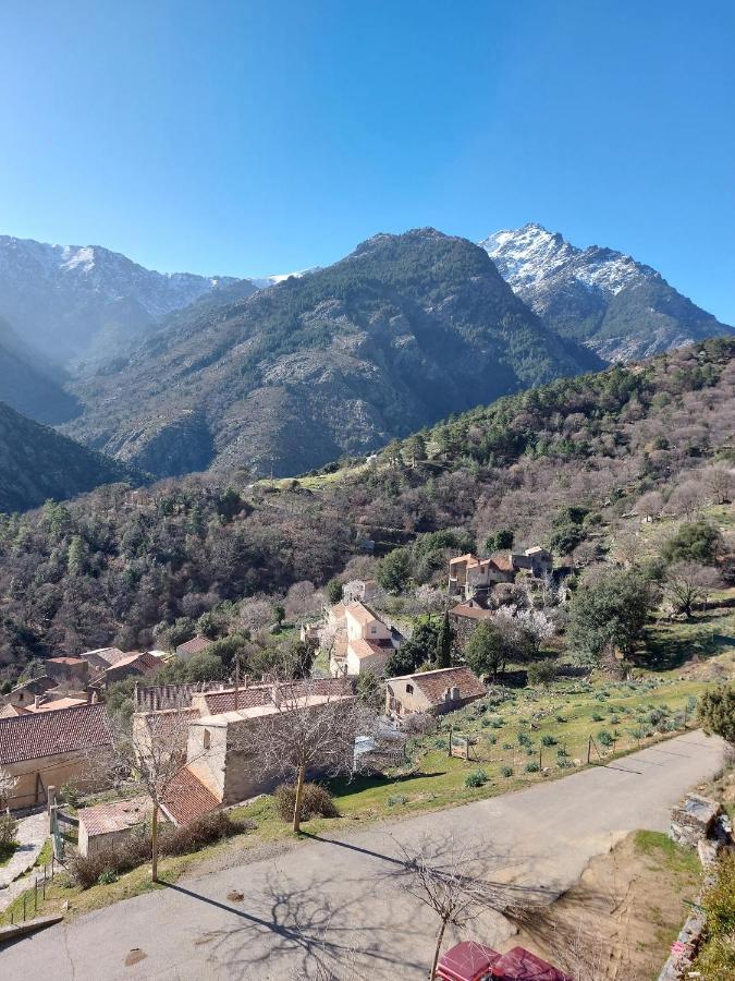 Residence E Cime Asco Locations De Studios Meubles Luaran gambar
