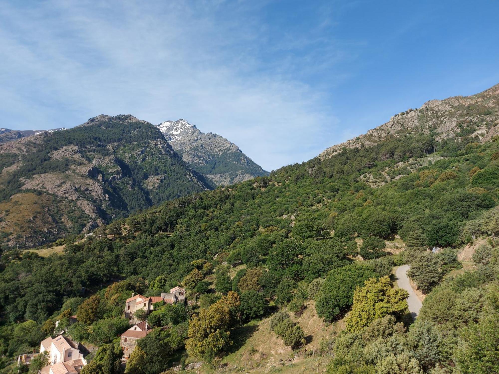 Residence E Cime Asco Locations De Studios Meubles Luaran gambar
